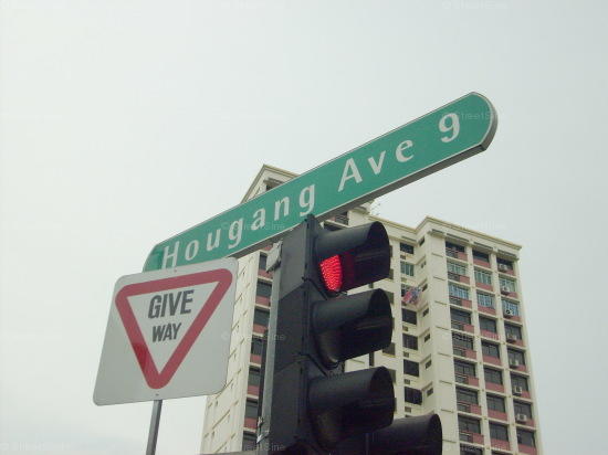 Hougang Avenue 9 #73122